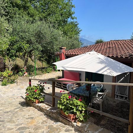 Casa Vacanze Alfano Ascea Eksteriør billede