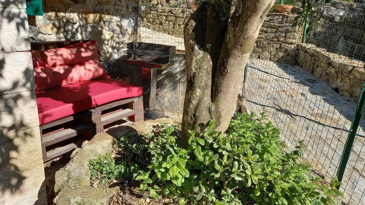 Casa Vacanze Alfano Ascea Eksteriør billede