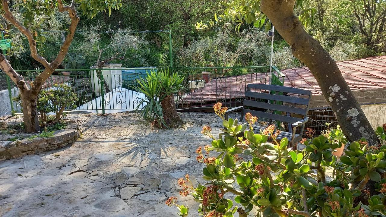 Casa Vacanze Alfano Ascea Eksteriør billede