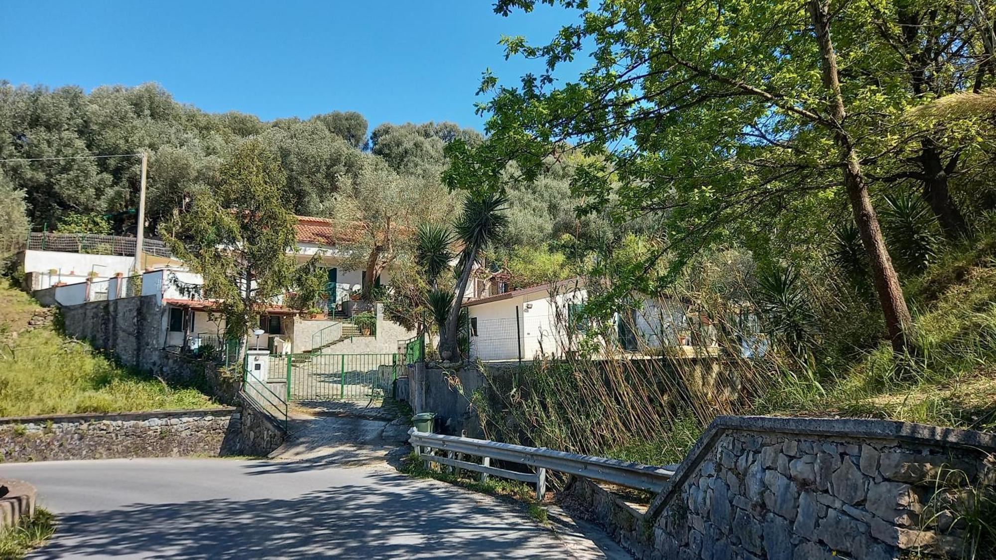 Casa Vacanze Alfano Ascea Eksteriør billede