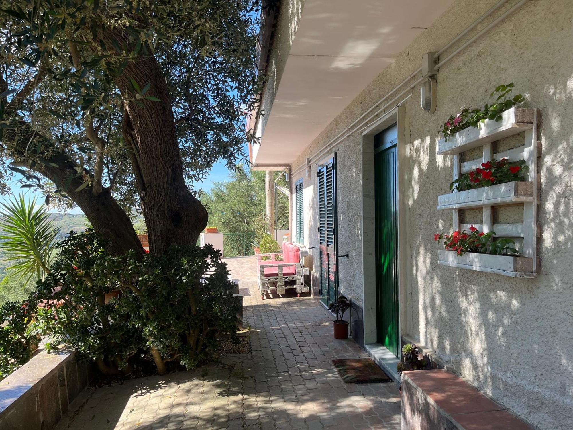 Casa Vacanze Alfano Ascea Eksteriør billede