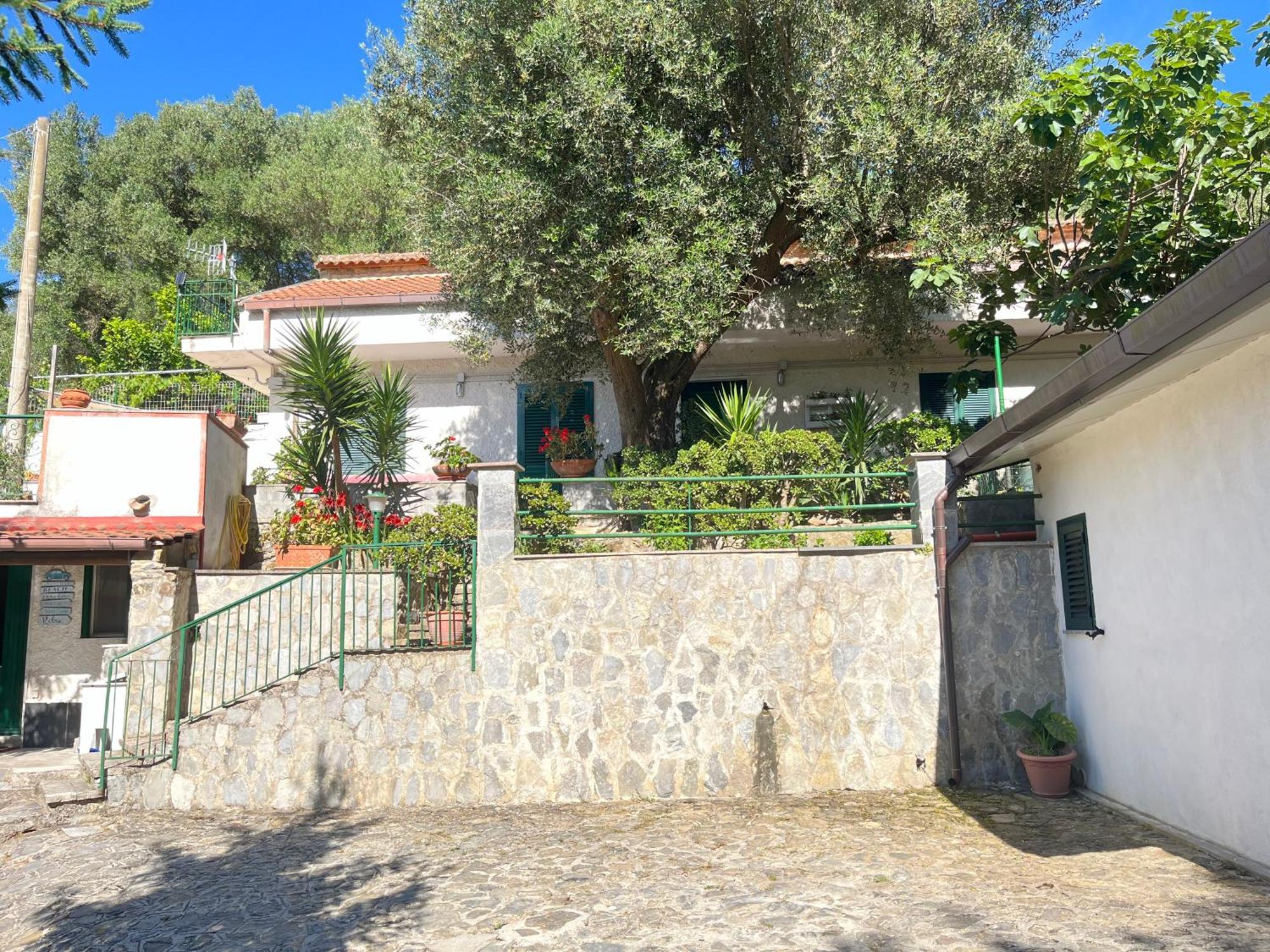 Casa Vacanze Alfano Ascea Eksteriør billede