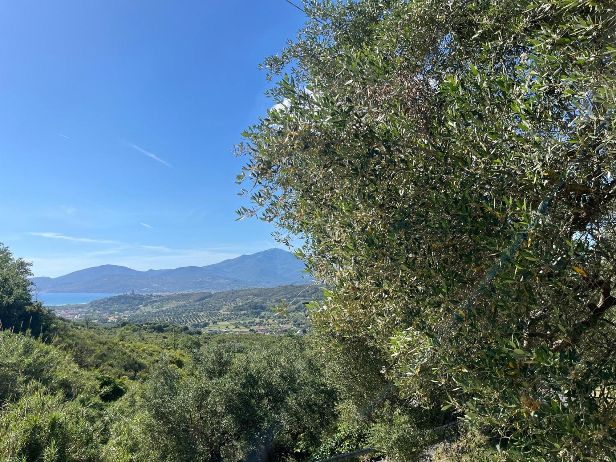 Casa Vacanze Alfano Ascea Eksteriør billede