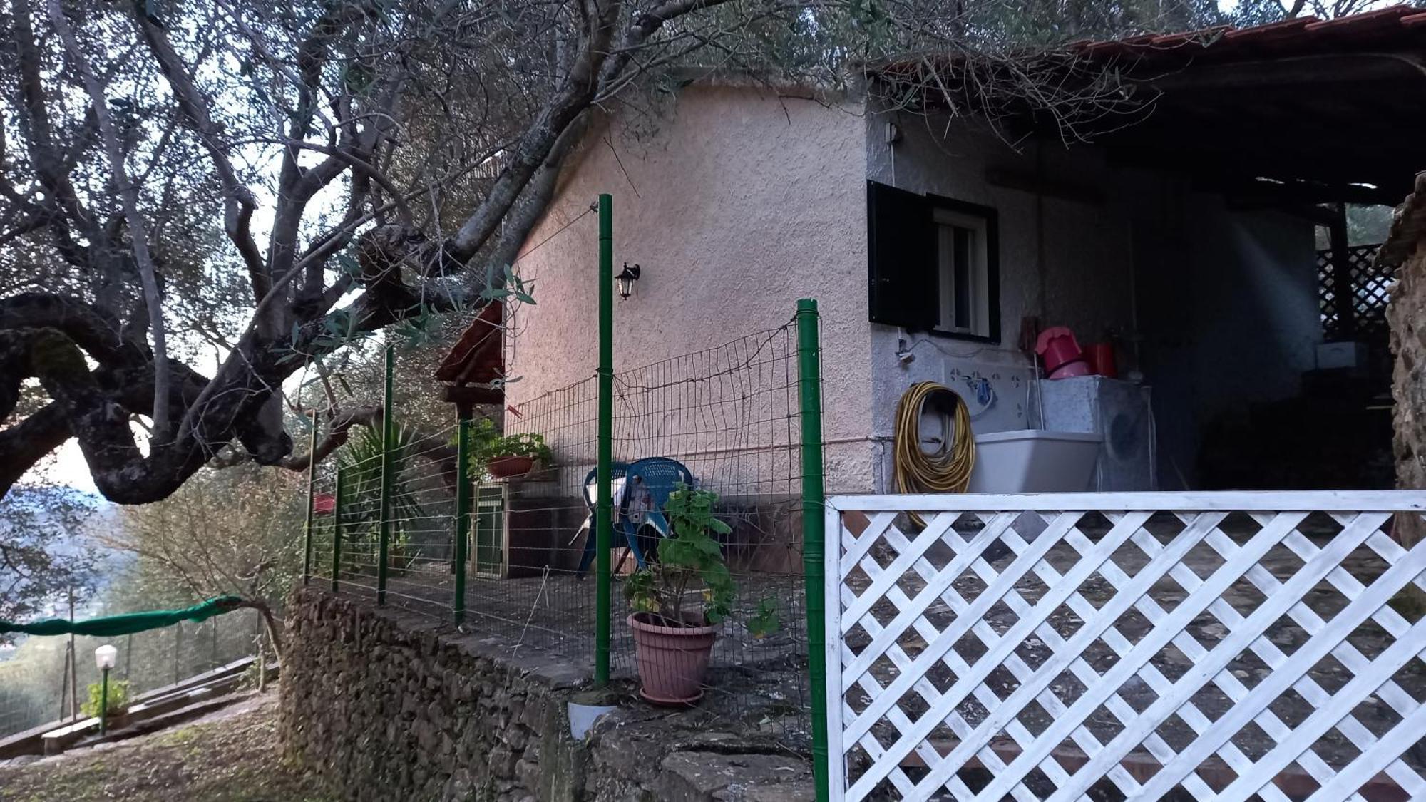 Casa Vacanze Alfano Ascea Værelse billede