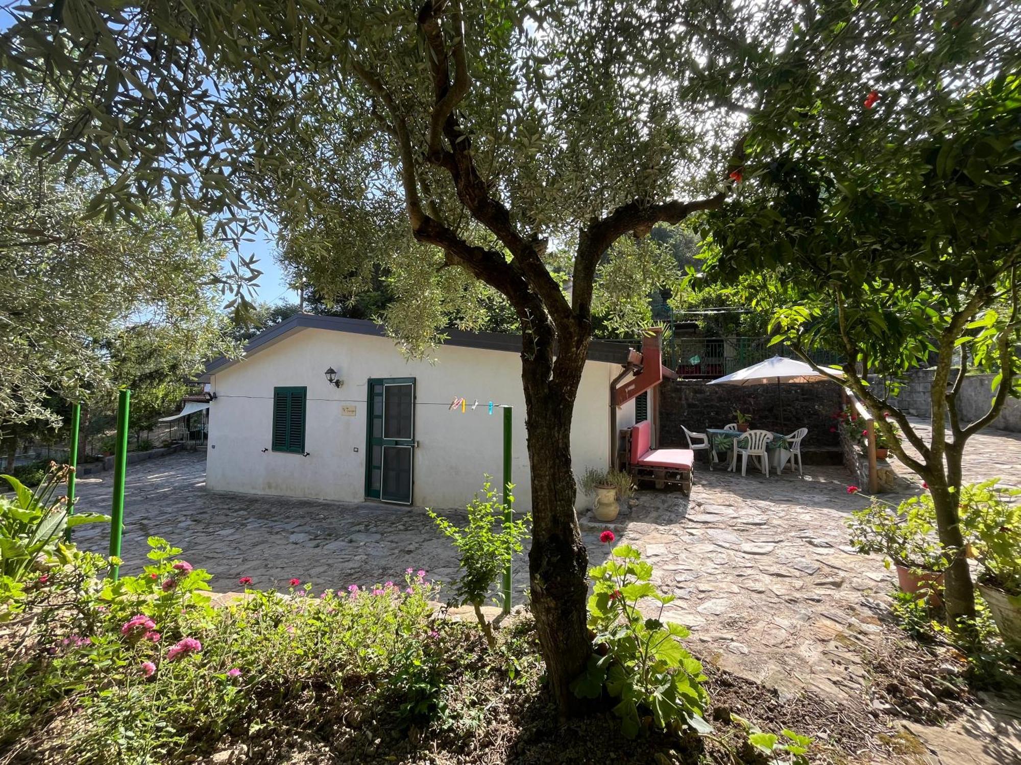 Casa Vacanze Alfano Ascea Eksteriør billede