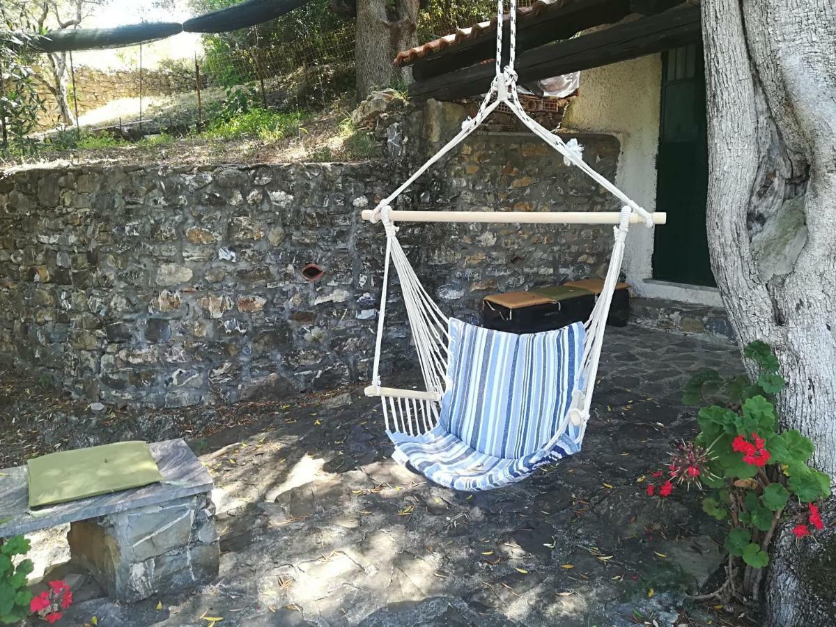 Casa Vacanze Alfano Ascea Eksteriør billede